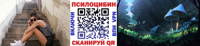 сколько стоит Трубчевск Галлюциногенные грибы мицелий